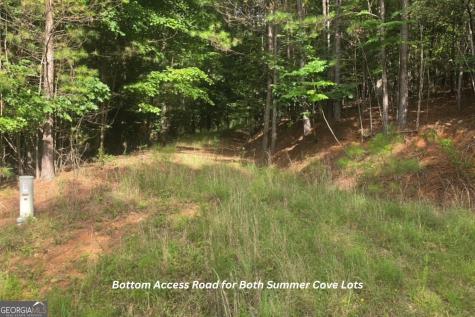 19/20 The Hills At Queens Gap Blairsville GA 30512