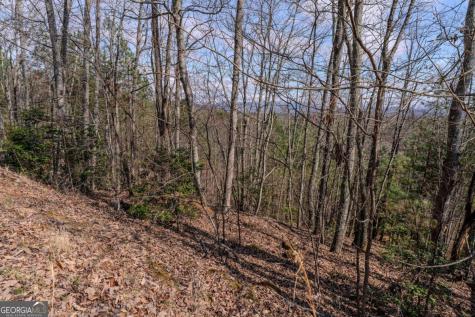 19/20 The Hills At Queens Gap Blairsville GA 30512