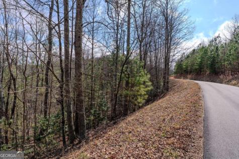 19/20 The Hills At Queens Gap Blairsville GA 30512