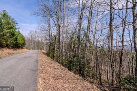 19/20 The Hills At Queens Gap Blairsville GA 30512