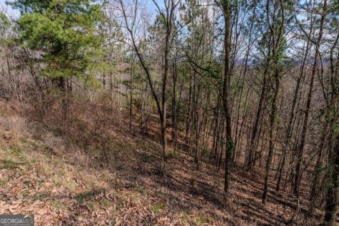 19/20 The Hills At Queens Gap Blairsville GA 30512