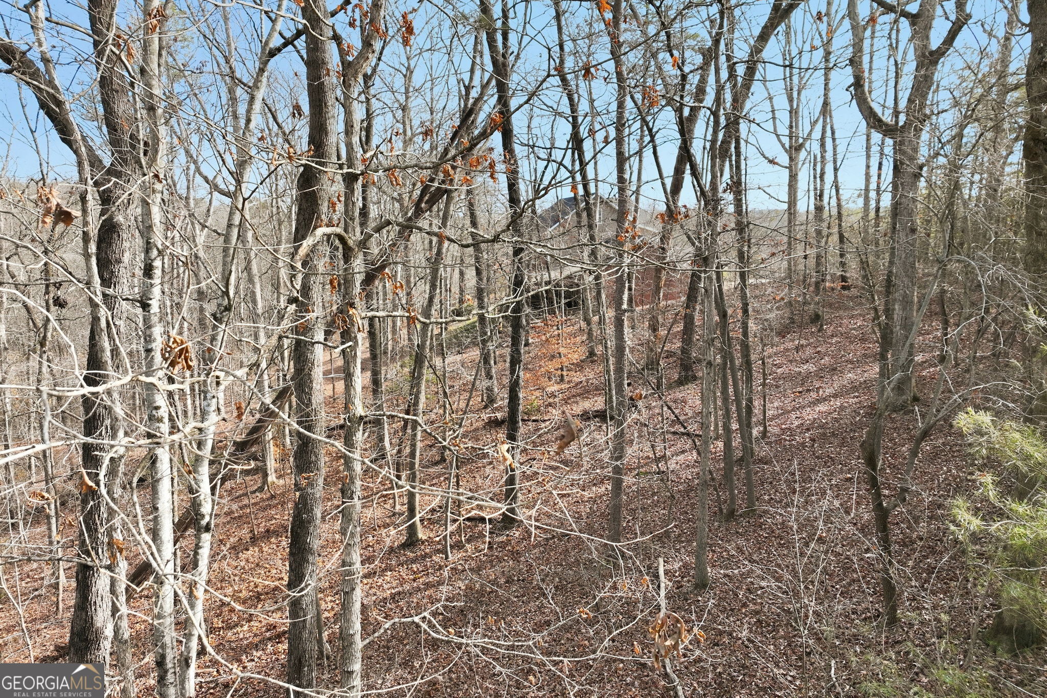 4227 Bayridge Drive Gainesville GA 30506