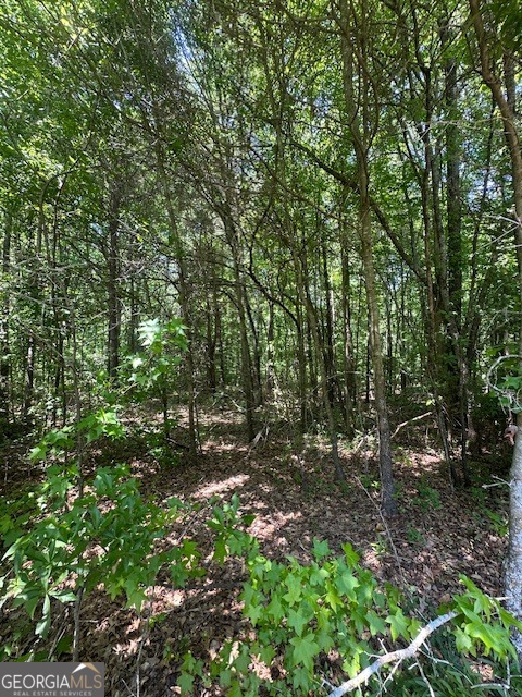 0 Mize Road Commerce GA 30529