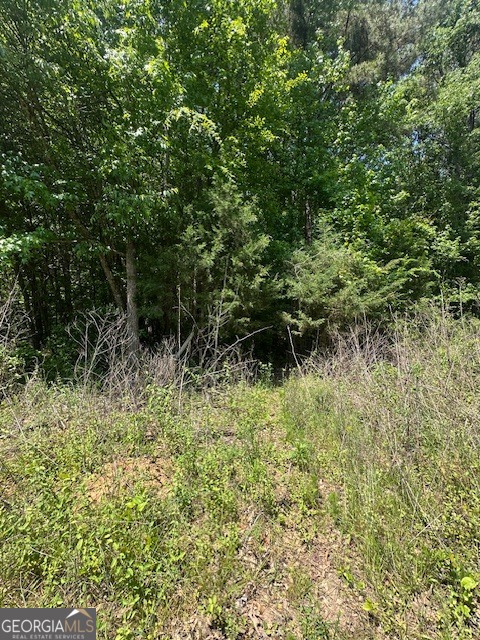0 Mize Road Commerce GA 30529