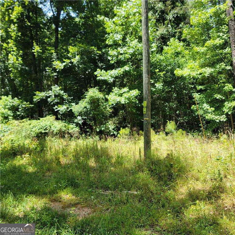 0 Spring Hill Drive Covington GA 30016