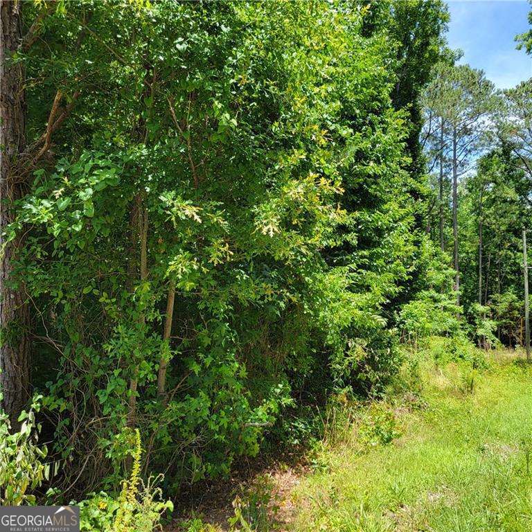 0 Spring Hill Drive Covington GA 30016