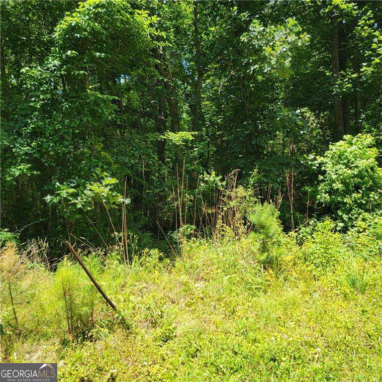 0 Spring Hill Drive Covington GA 30016