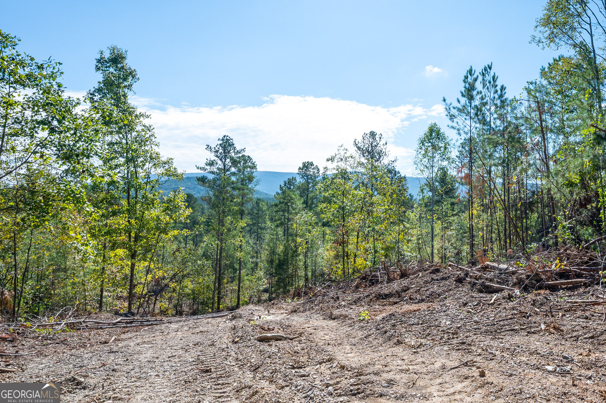 3793 Highway 140 NE Rydal GA 30171