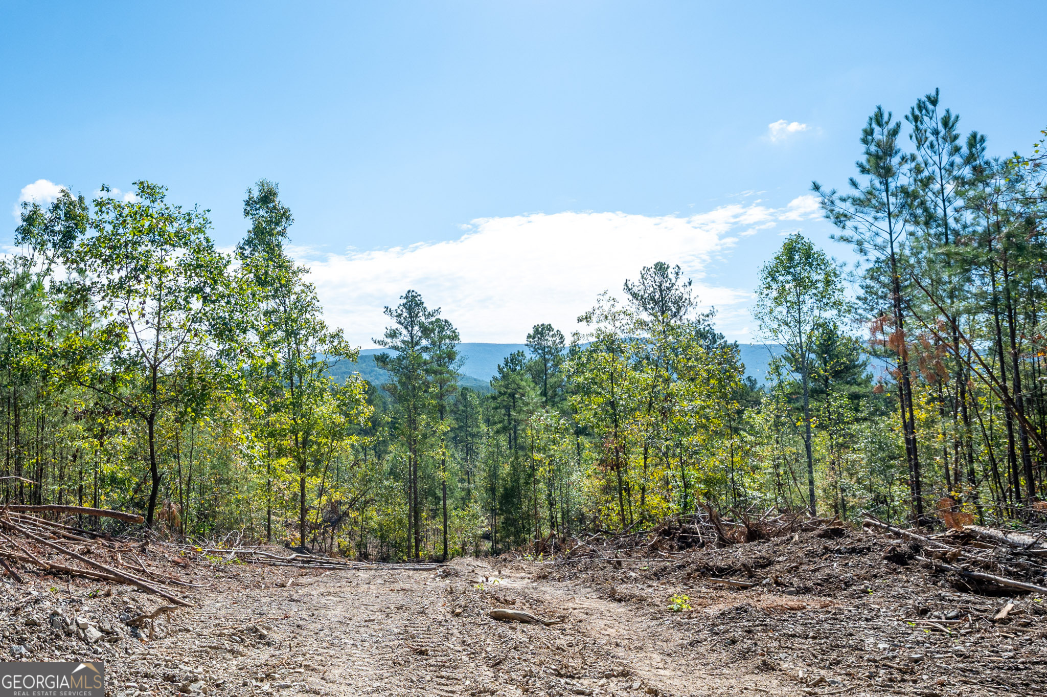 3793 Highway 140 NE Rydal GA 30171