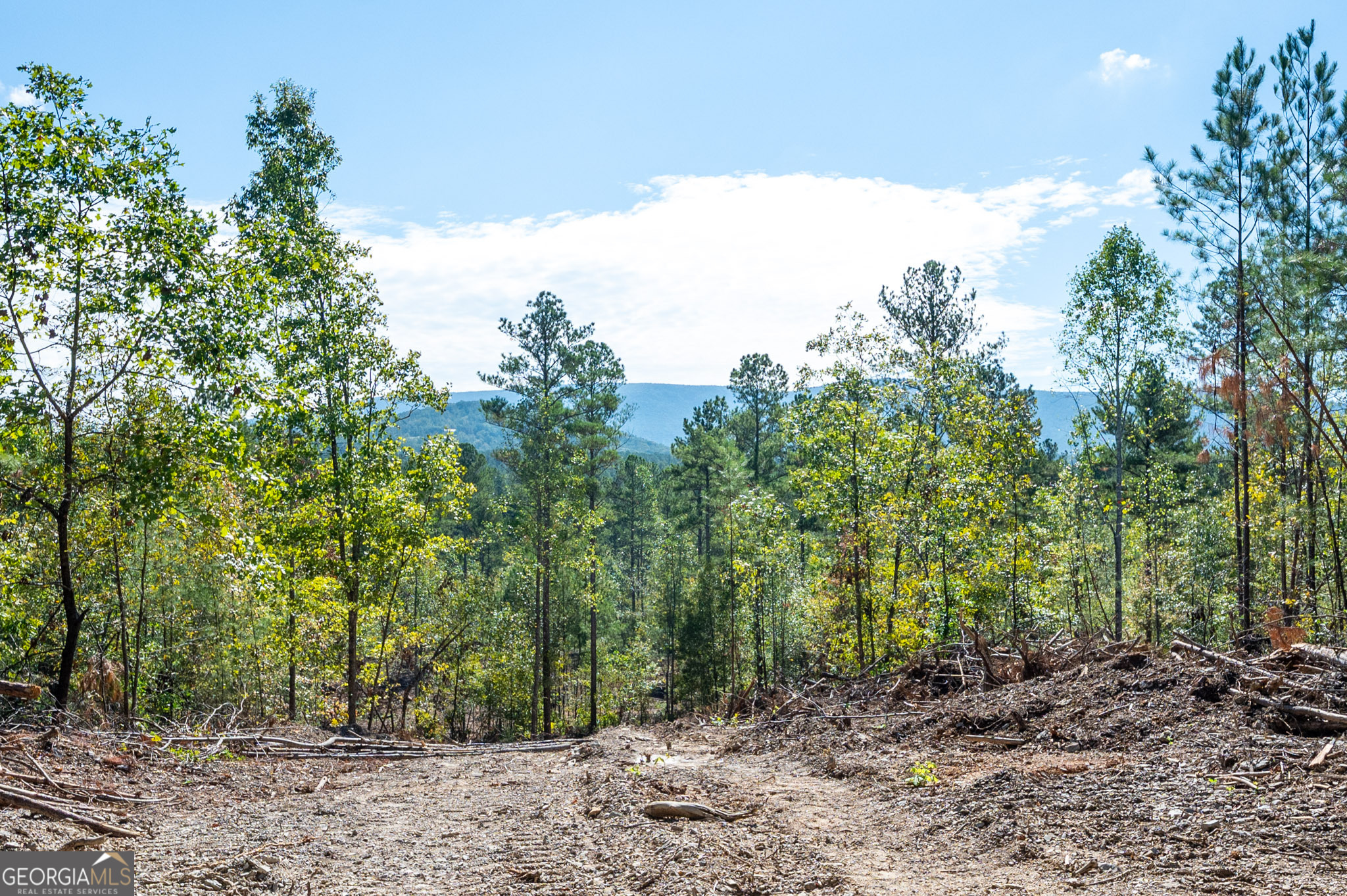 3793 Highway 140 NE Rydal GA 30171