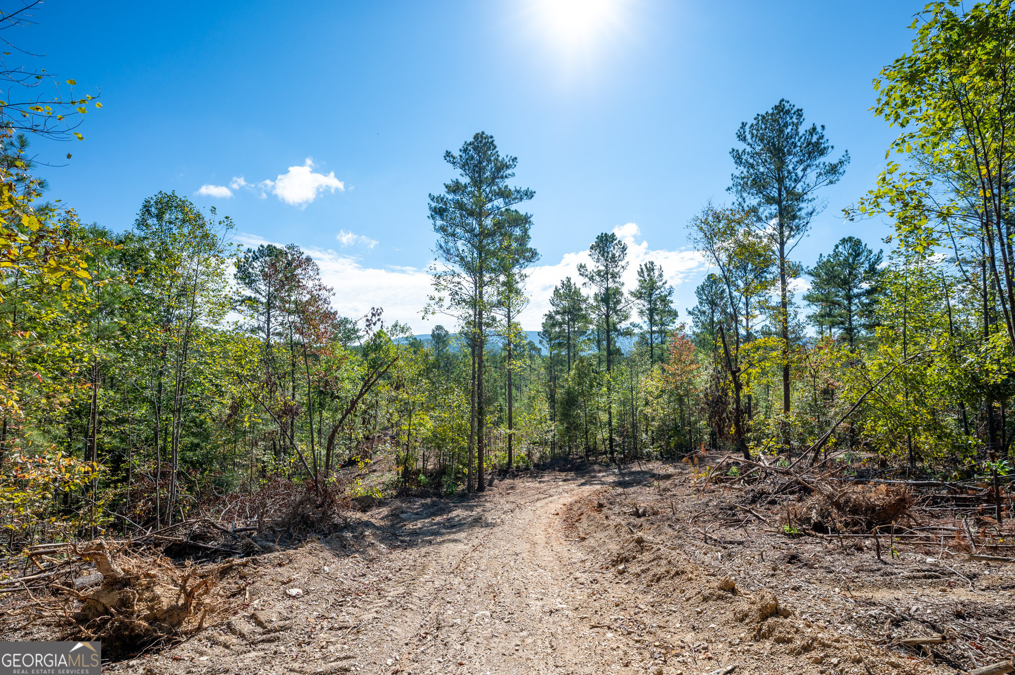 3793 Highway 140 NE Rydal GA 30171