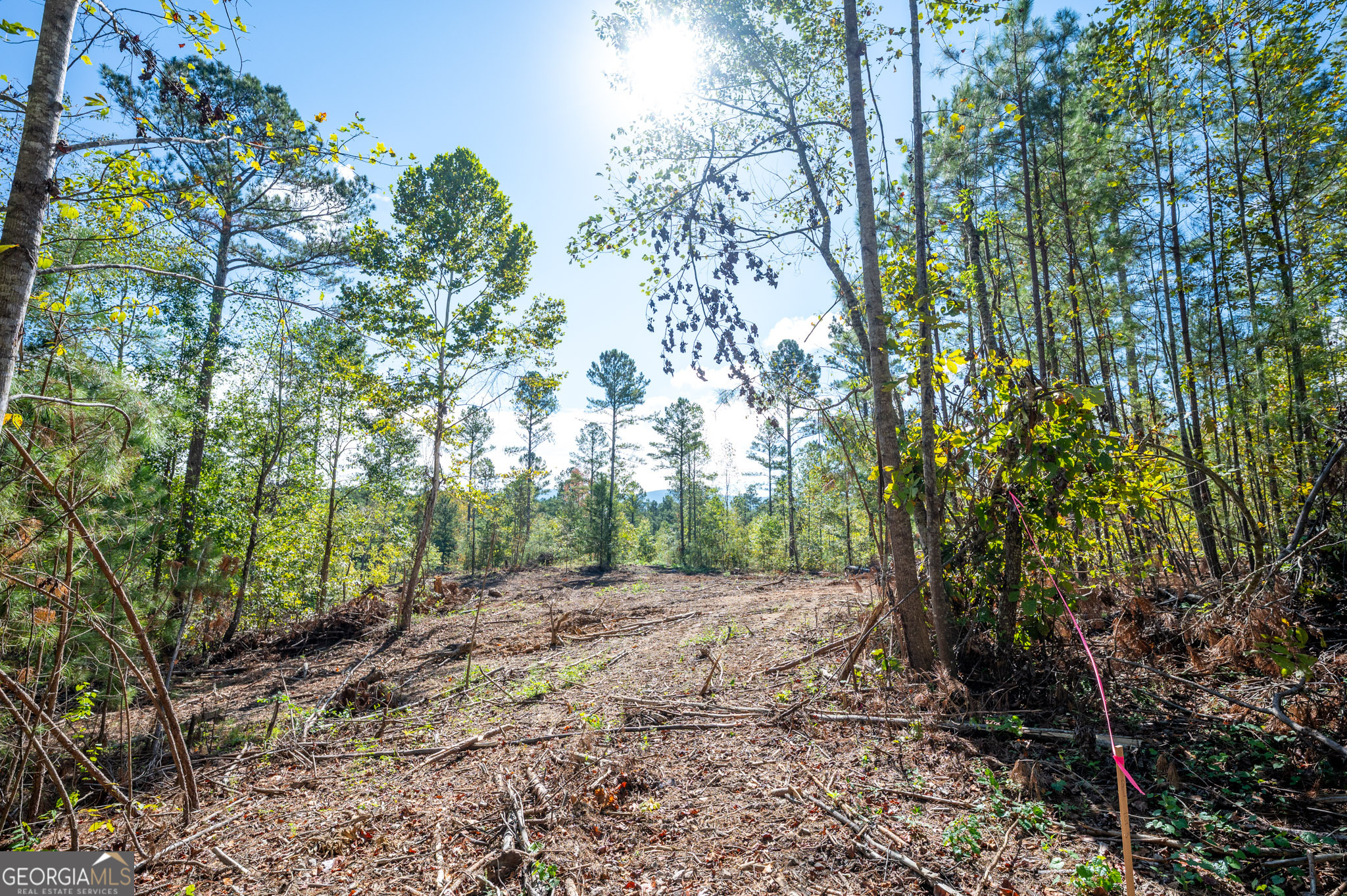 3793 Highway 140 NE Rydal GA 30171