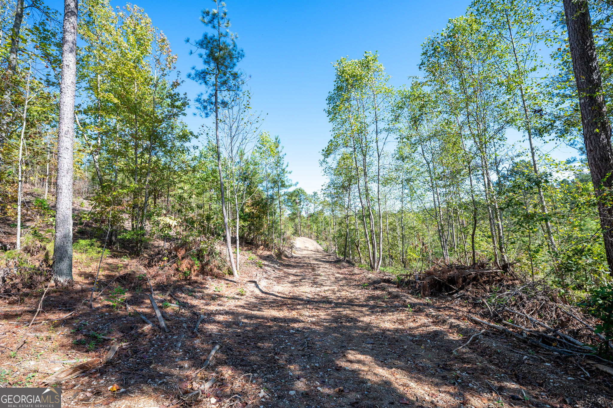 3793 Highway 140 NE Rydal GA 30171