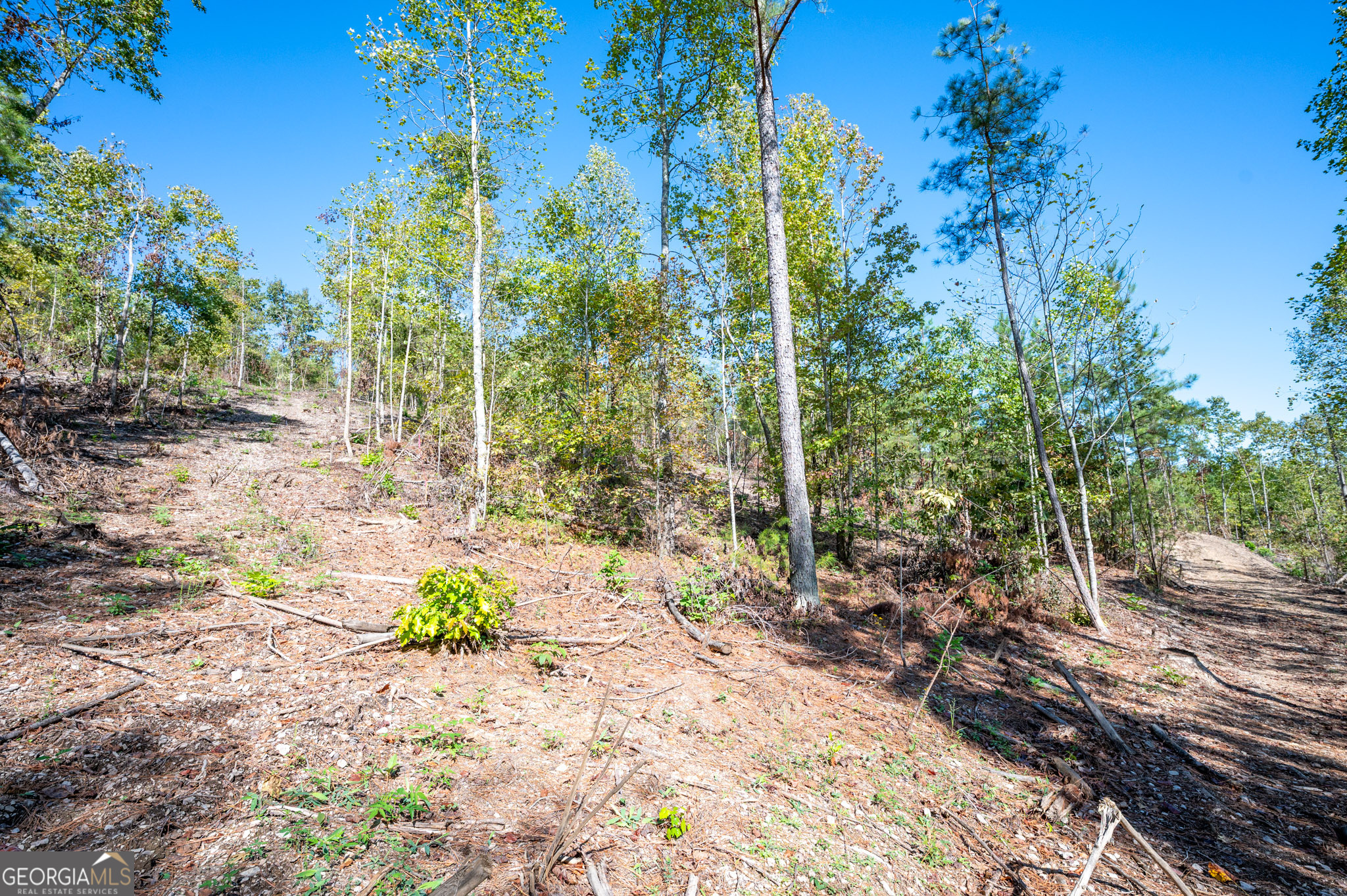 3793 Highway 140 NE Rydal GA 30171