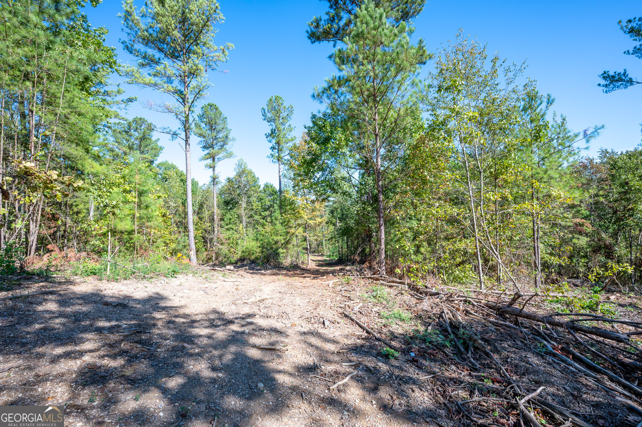 3793 Highway 140 NE Rydal GA 30171