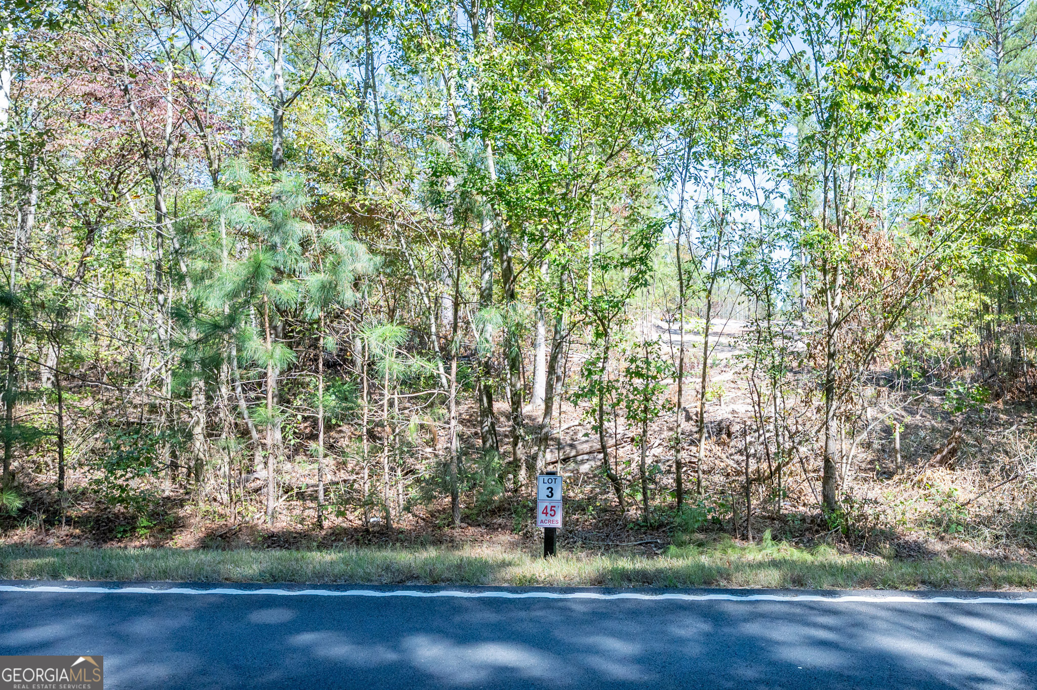 3793 Highway 140 NE Rydal GA 30171