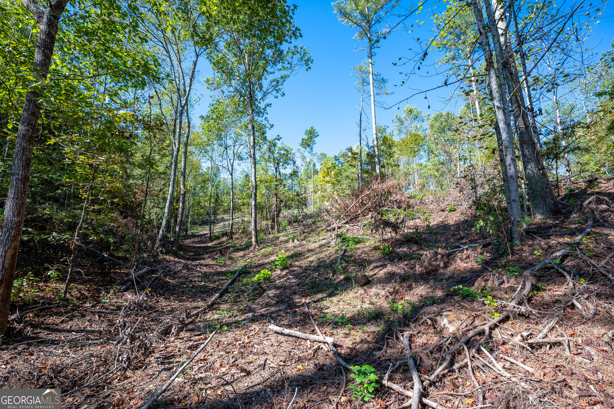 3793 Highway 140 NE Rydal GA 30171