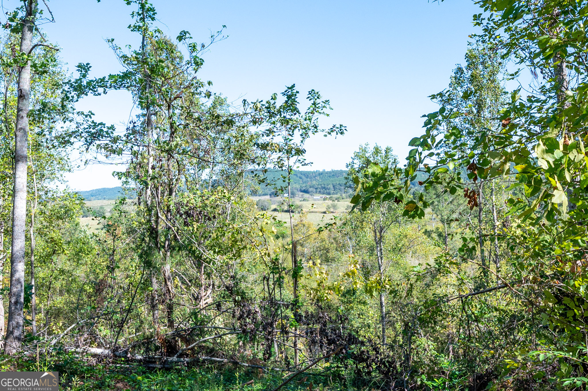3793 Highway 140 NE Rydal GA 30171