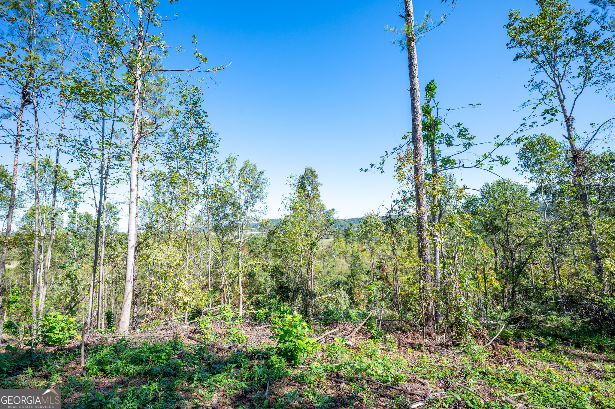 3793 Highway 140 NE Rydal GA 30171