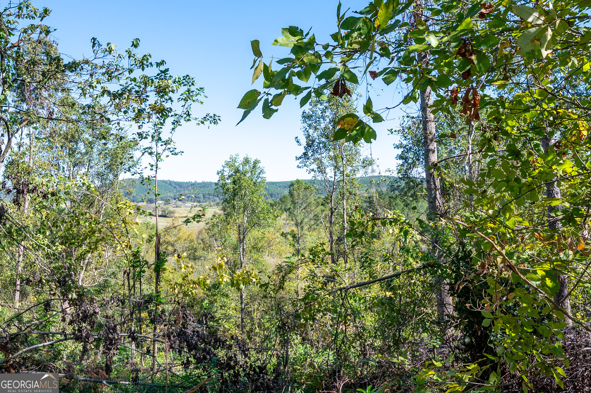 3793 Highway 140 NE Rydal GA 30171