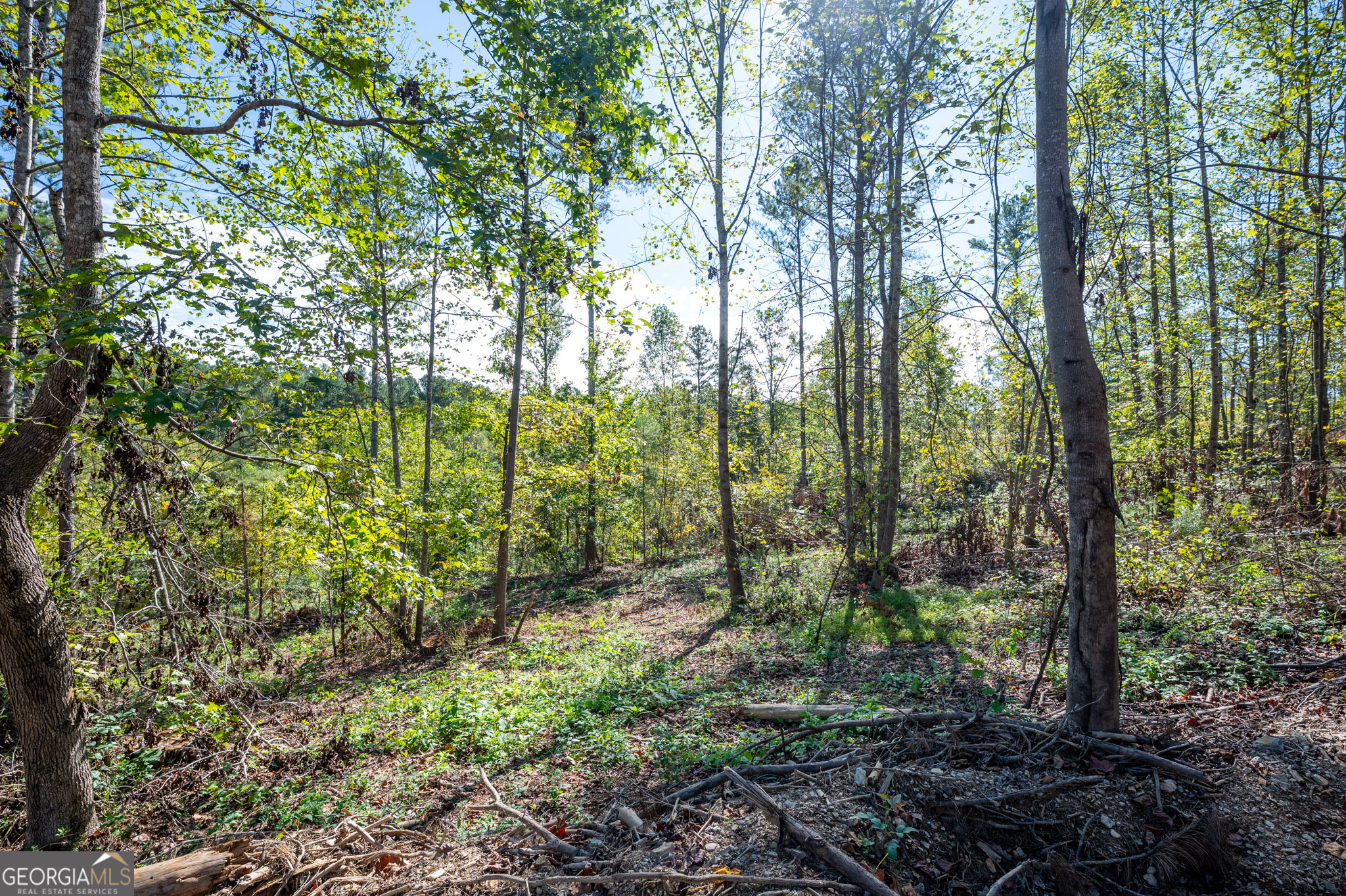 3793 Highway 140 NE Rydal GA 30171