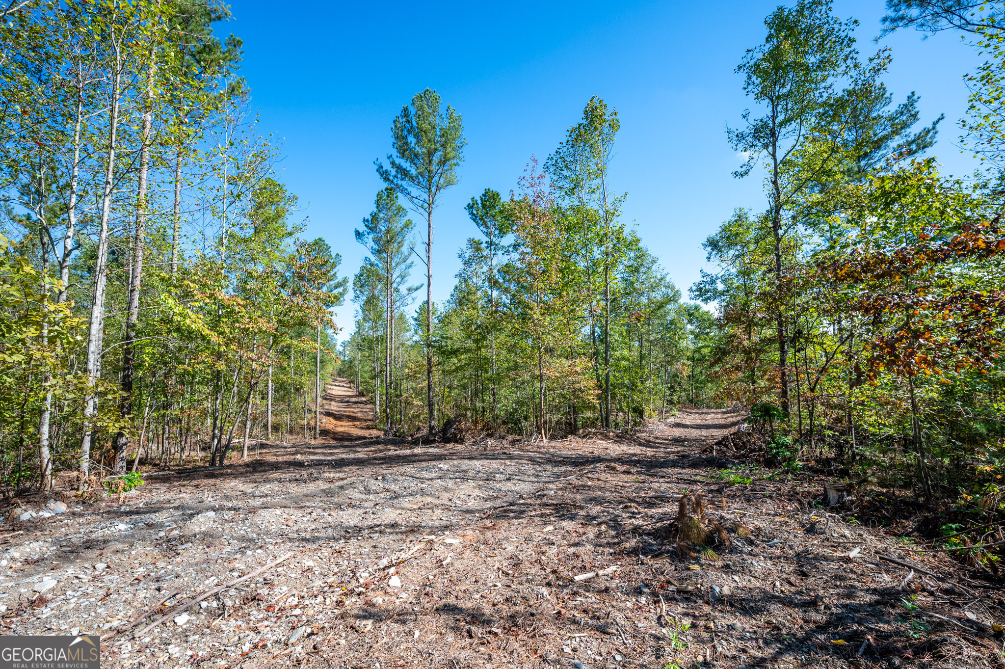 3793 Highway 140 NE Rydal GA 30171