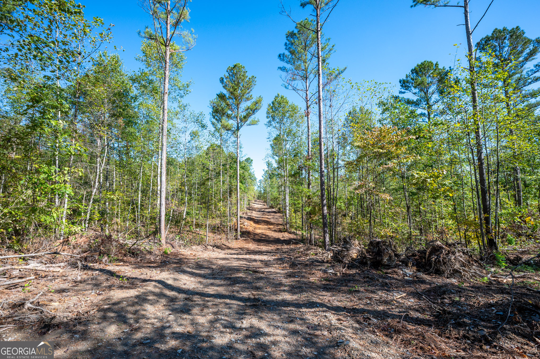 3793 Highway 140 NE Rydal GA 30171