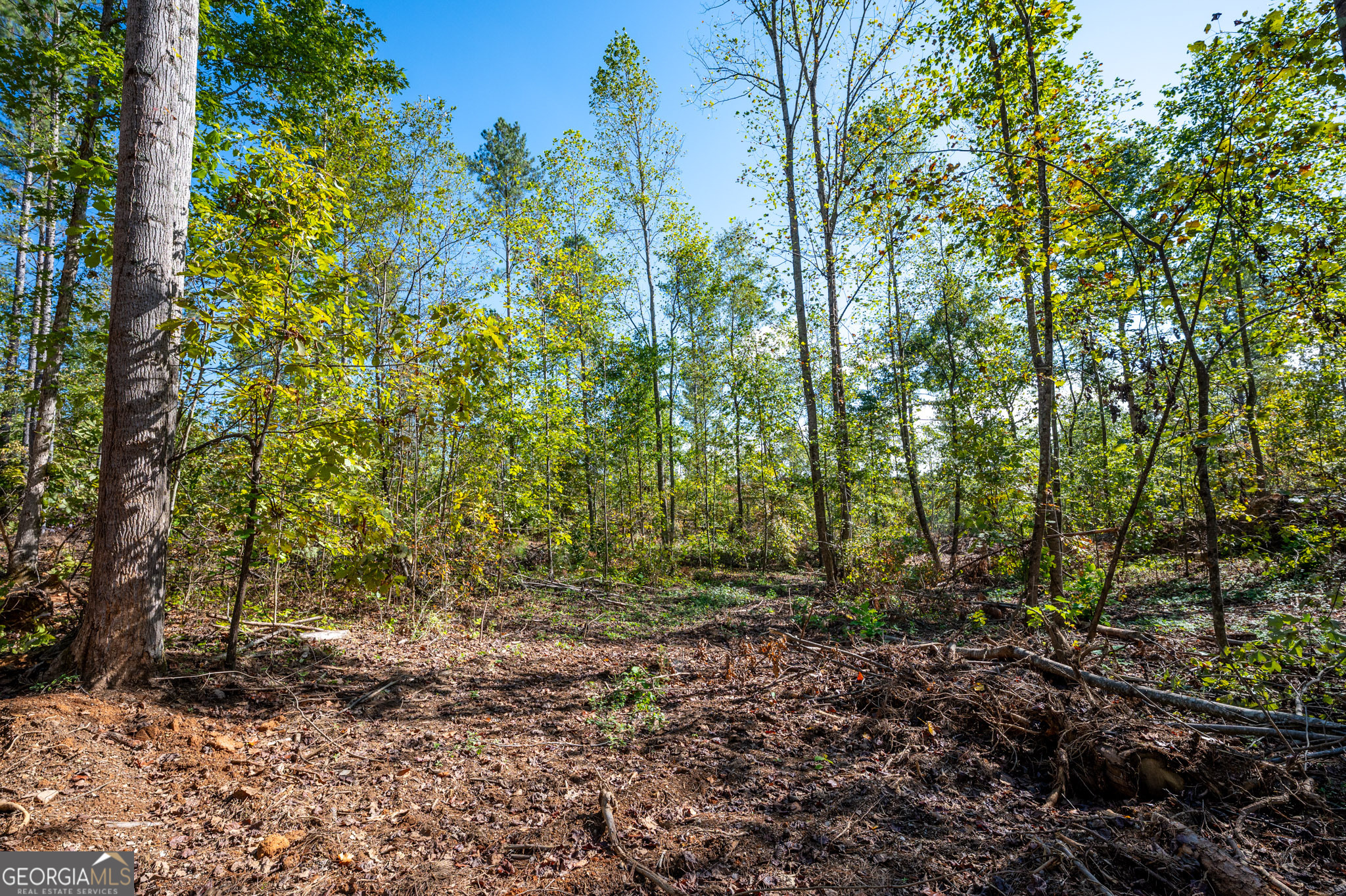 3793 Highway 140 NE Rydal GA 30171