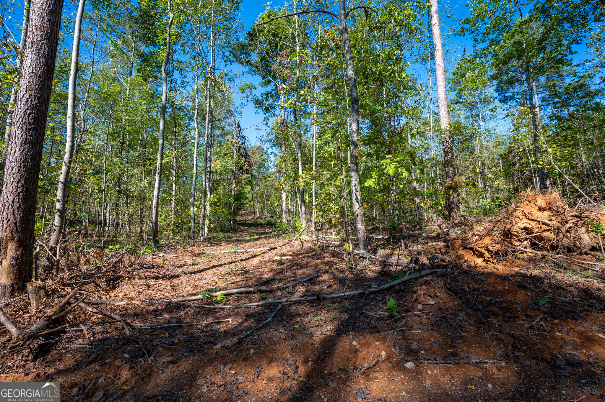 3793 Highway 140 NE Rydal GA 30171