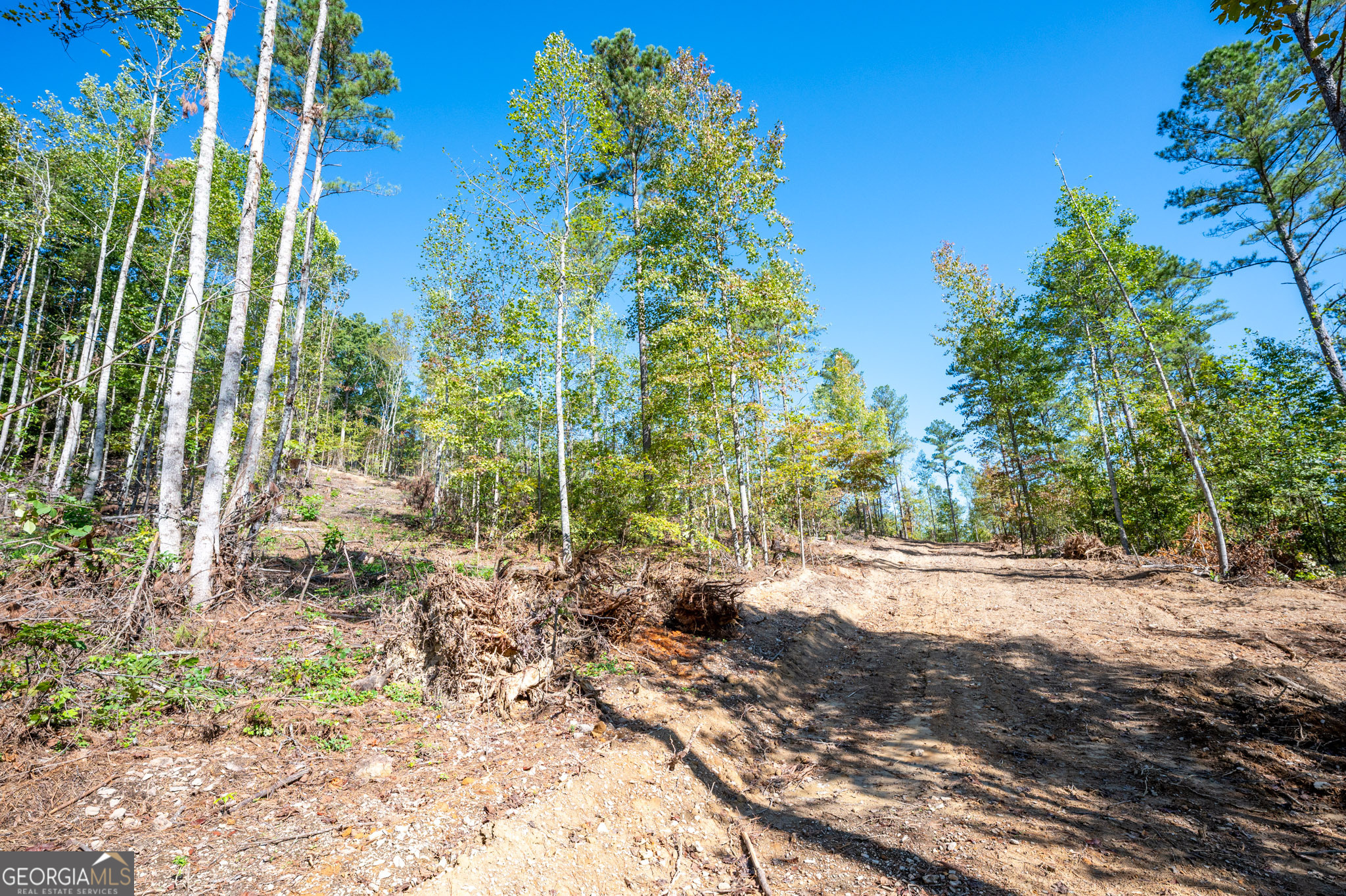 3793 Highway 140 NE Rydal GA 30171