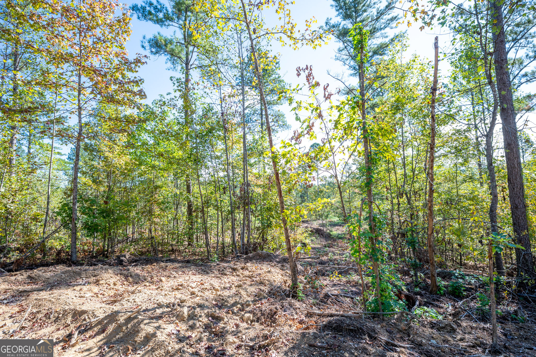 3793 Highway 140 NE Rydal GA 30171