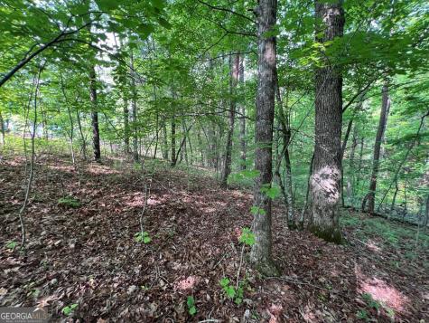 9 + Acre Leonard Lane Murphy NC 28906