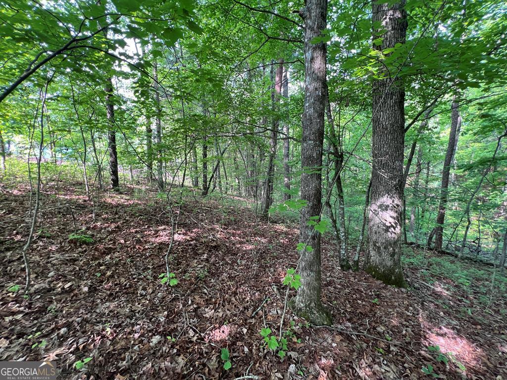 9 + Acre Leonard Lane Murphy NC 28906