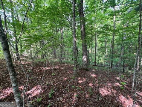 9 + Acre Leonard Lane Murphy NC 28906