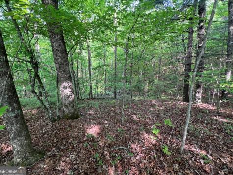 9 + Acre Leonard Lane Murphy NC 28906