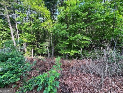 9 + Acre Leonard Lane Murphy NC 28906