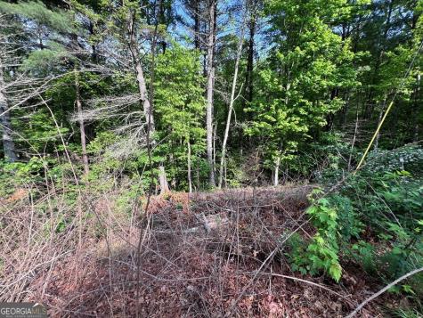 9 + Acre Leonard Lane Murphy NC 28906