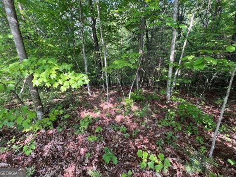 9 + Acre Leonard Lane Murphy NC 28906