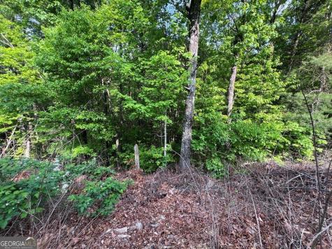9 + Acre Leonard Lane Murphy NC 28906