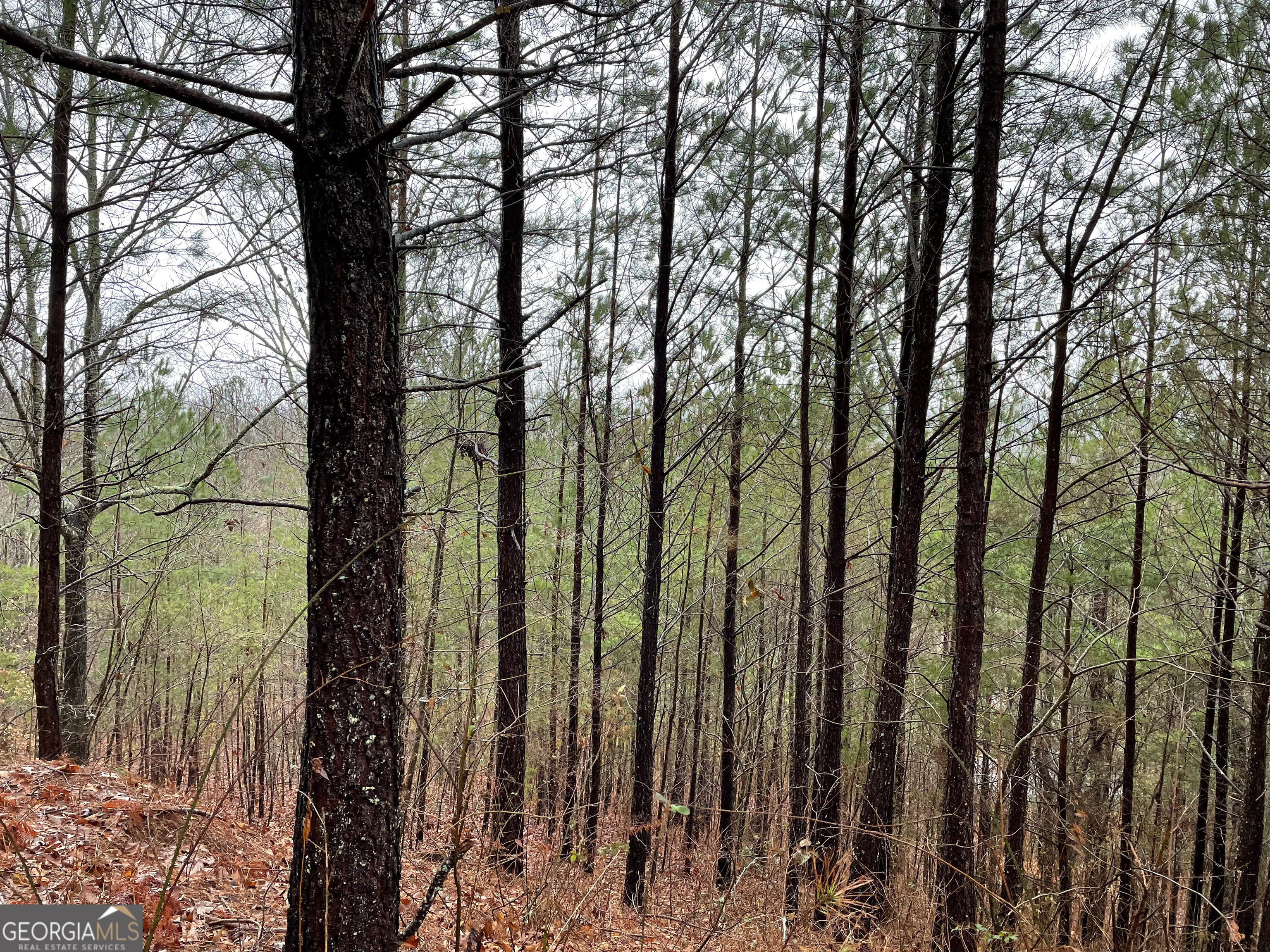 26 Sunset View Blairsville GA 30512