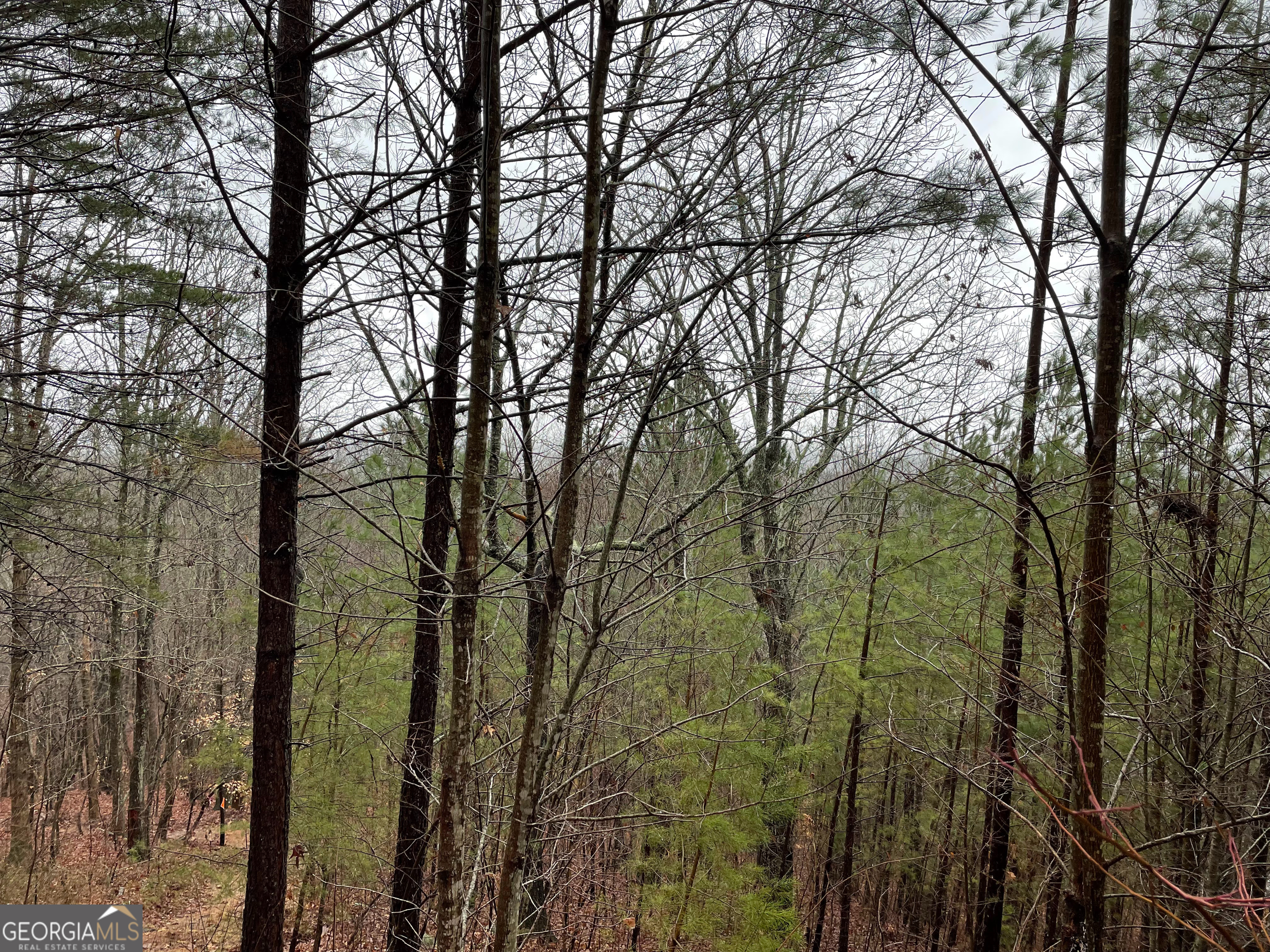 26 Sunset View Blairsville GA 30512