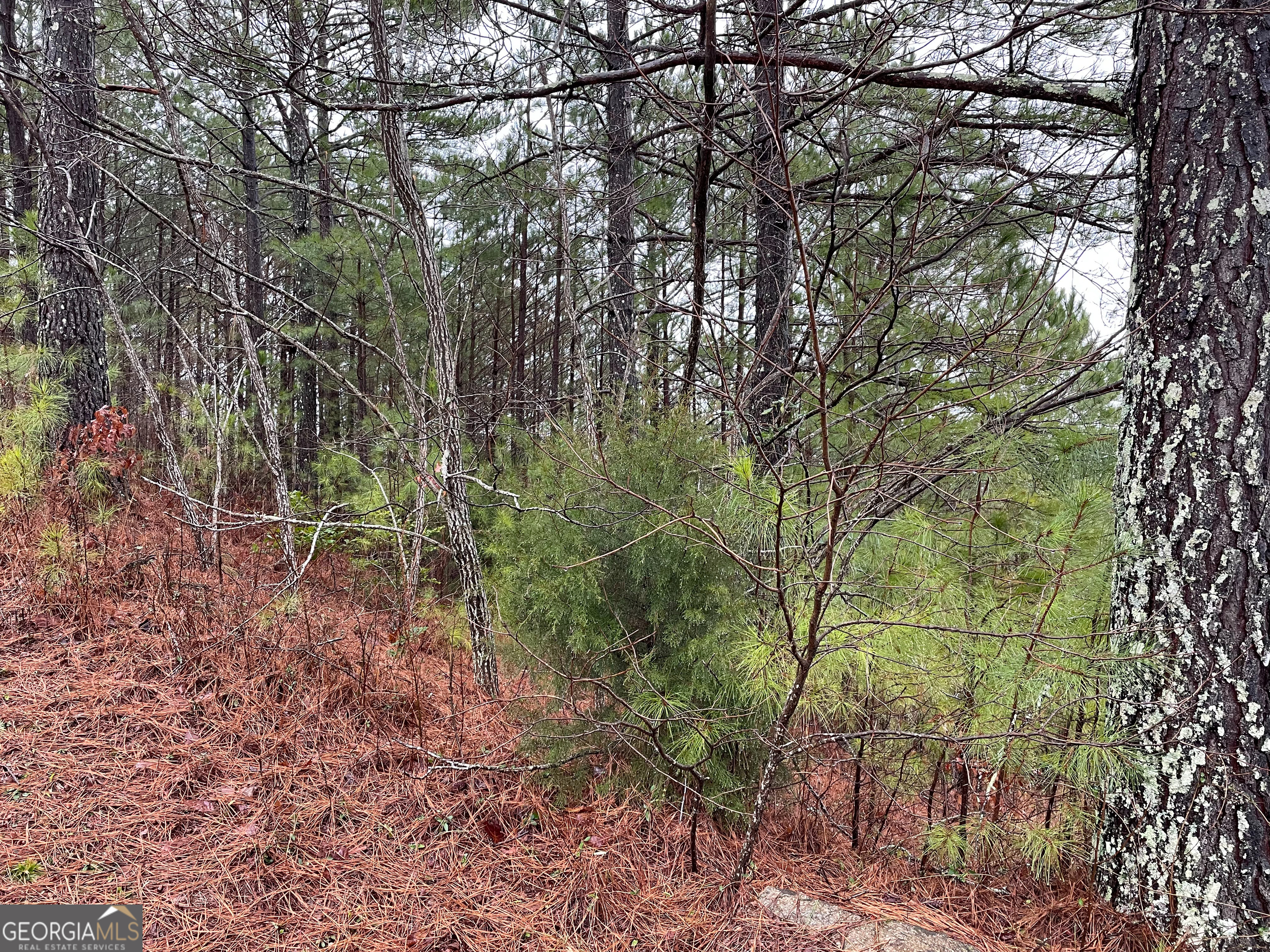 26 Sunset View Blairsville GA 30512
