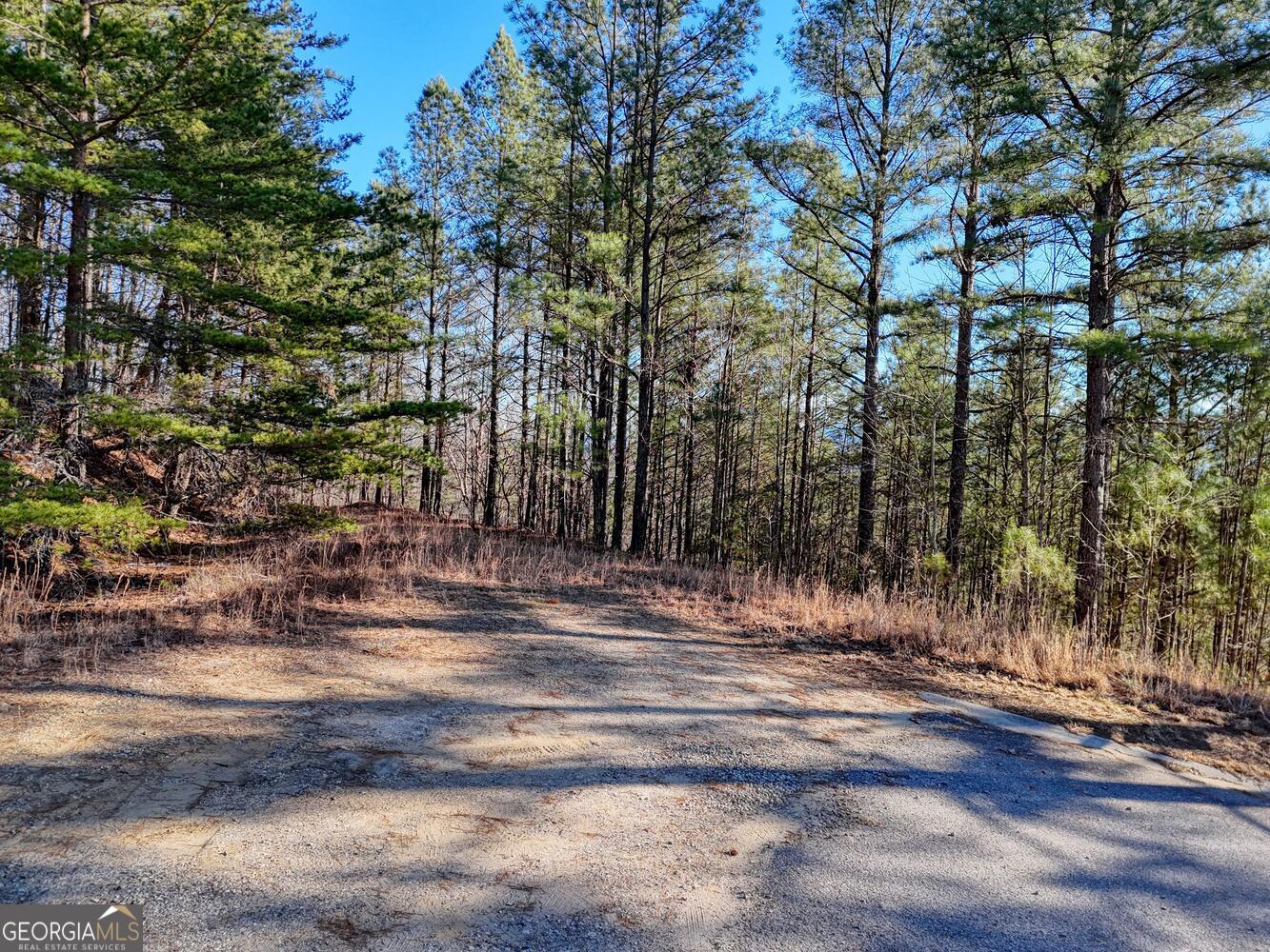 26 Sunset View Blairsville GA 30512