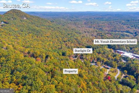 327 Starlight Drive Sautee Nacoochee GA 30571