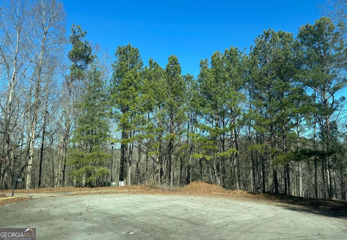 9590 Grande Drive Winston GA 30187