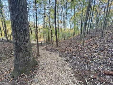 13C Rainey Valley Lane Morganton GA 30560