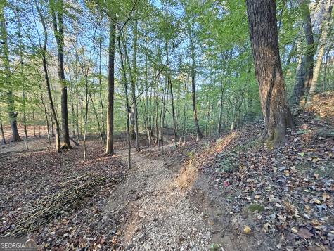 13C Rainey Valley Lane Morganton GA 30560