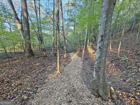 13C Rainey Valley Lane Morganton GA 30560