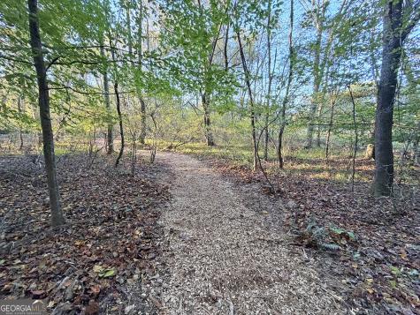 13C Rainey Valley Lane Morganton GA 30560
