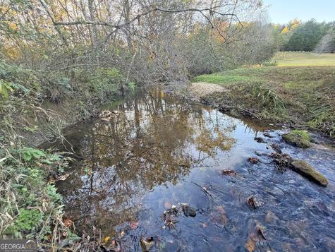13C Rainey Valley Lane Morganton GA 30560
